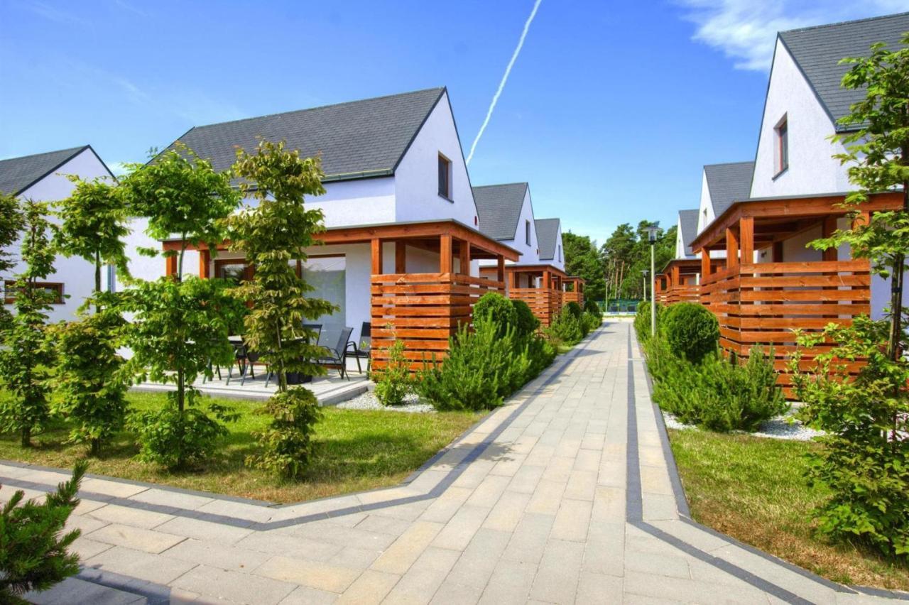 Luxury Homes With The Pools For 6 Persons Rogowo  Exterior foto